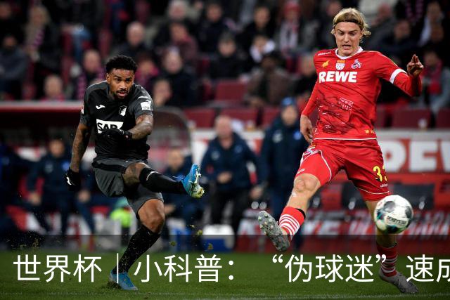 世界杯｜小科普：“伪球迷”速成手册